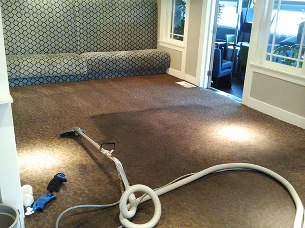 Matienzo Carpet Cleaning LLC